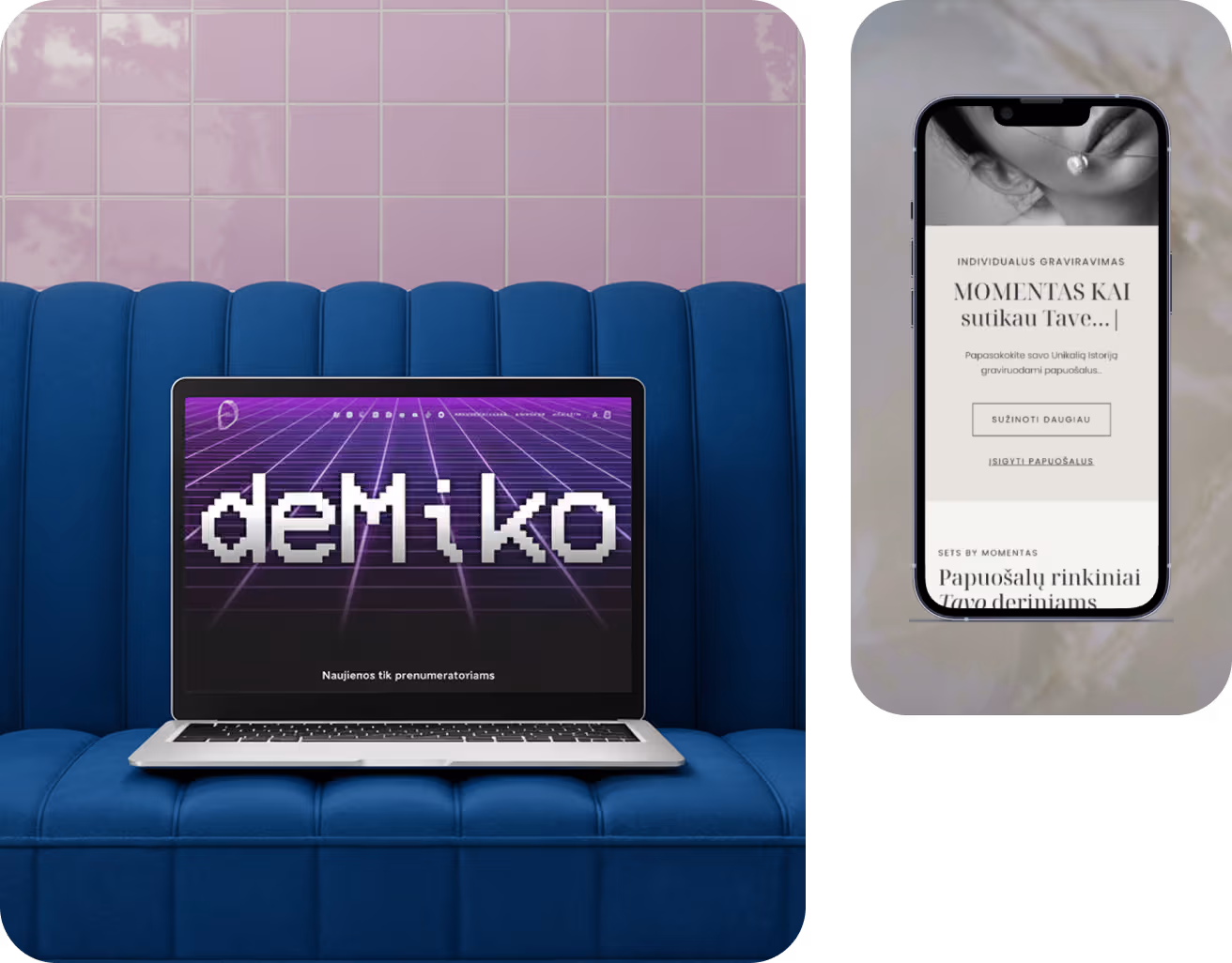 WordPress svetainių kūrimas pavyzdys